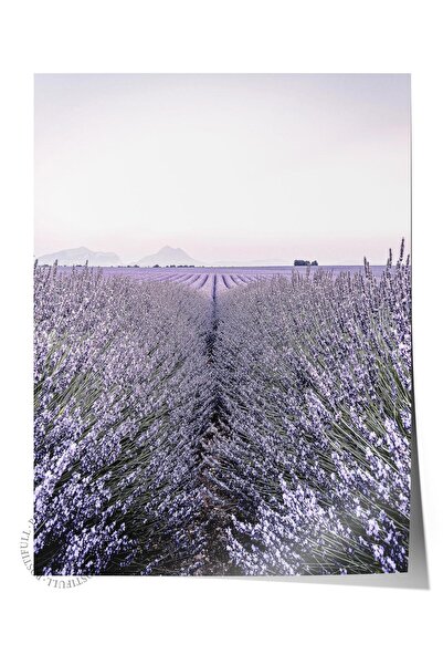 Postifull Poster rustic fără ramă, pictură nordică violetă, NR:321 Fotografie...