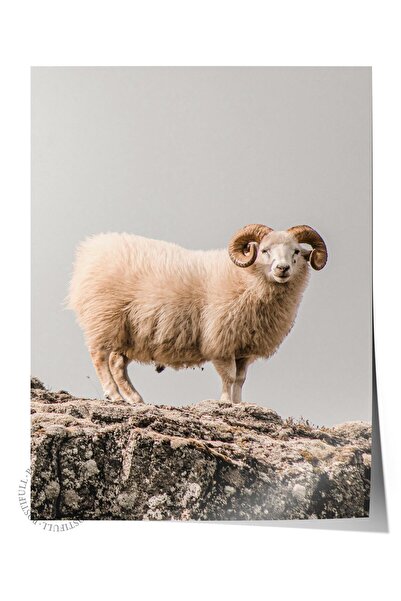 Postifull Rustični poster bez okvira, nordijska bela slika, NO:359 Fotografij...