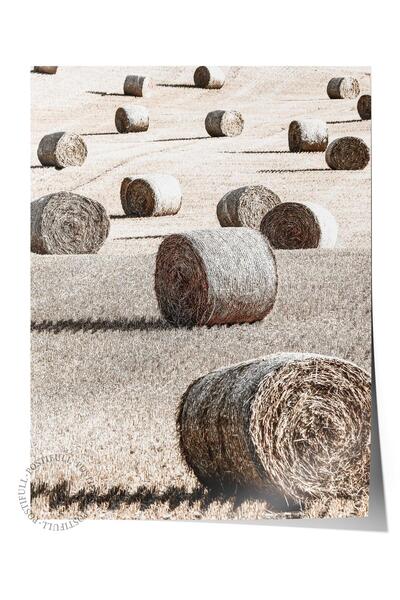 Postifull Rustic Çerçevesiz Poster, İskandinav Kahverengi Tablo, NO:383 Saman...