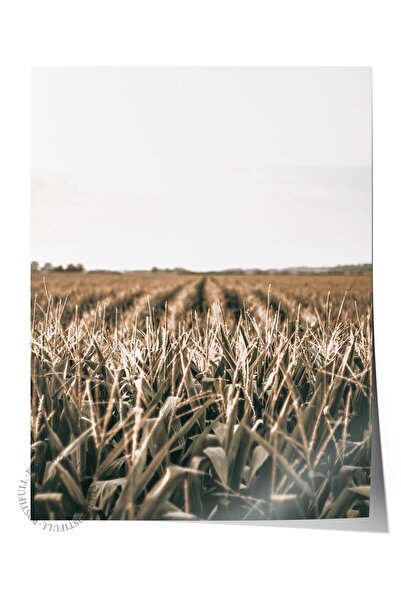 Postifull Poster rustic fără rame, pictură nordică maro, NR:165 Fotografie de...