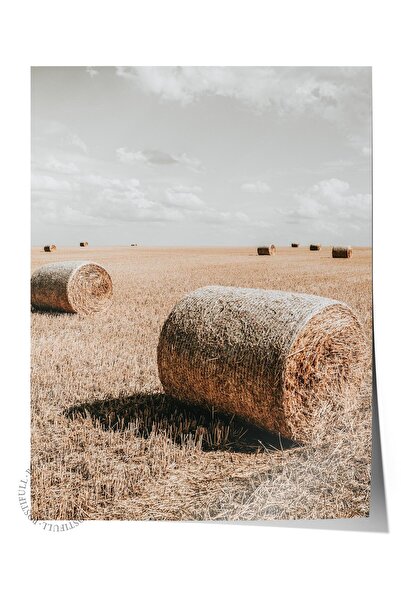 Postifull Rustic Çerçevesiz Poster, İskandinav Kahverengi Tablo, NO:230 Tarla...