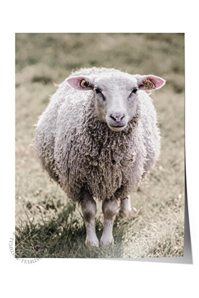 Postifull Poster rustic fără rame, pictură nordică albă, NR:357 Fotografie cu...