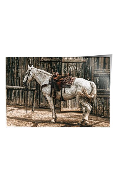 Postifull Rustic Çerçevesiz Poster, Iskandinav Beyaz Tablo, No:499 At Fotoğraf