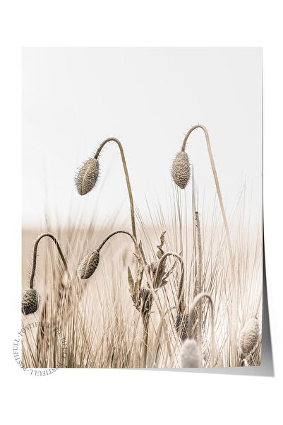Postifull Rustic Çerçevesiz Poster, İskandinav Kahverengi Tablo, NO:296 Buğda...