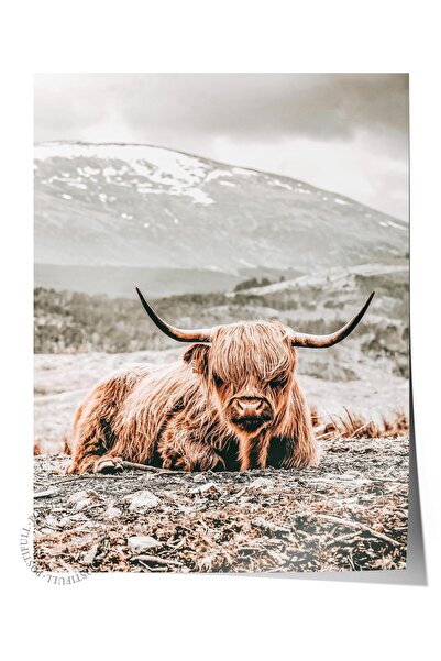 Postifull Poster rustic fără rame, pictură nordică maro, NR:408 Fotografie cu...