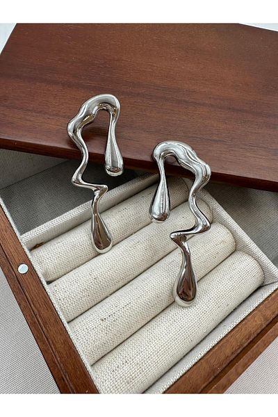 Jerie Curved Plate Flow Long Trend Earrings