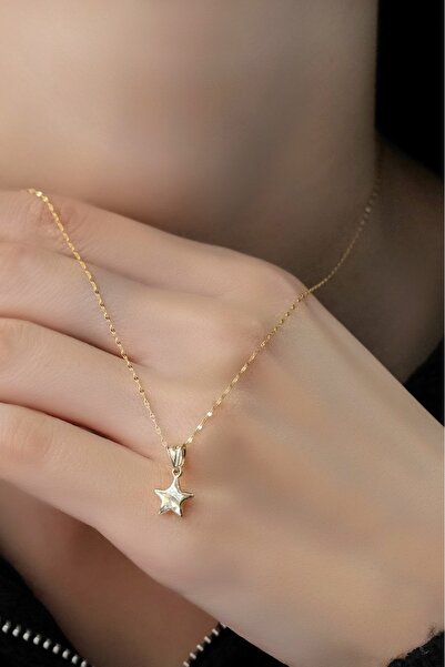 aytekgold Aynalı Yıldız Kolye 14 Ayar