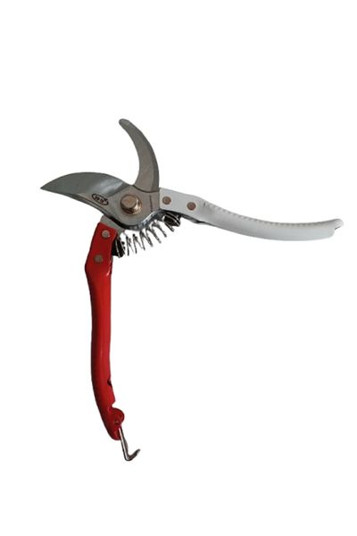 Alba Vineyard and Pruning Scissors