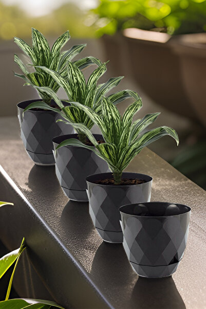 TEMMUZ HOME No 3 Büyük Boy 4 Adet Baklava Desenli Tabaklı Plastik Saksı Yakam...