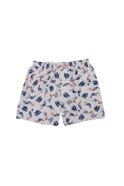 Ceylanoğlu 6-Piece Boy Printed Boxers - 309