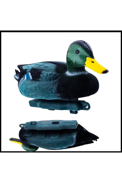 Uygunayakala Uyguna-Yakala Yüzen Mühre Yeşilbaş Ördek Mühresi - Tüylü -HRE.094