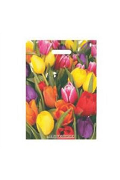 ECOPLAST Takviyeli Baskılı Mağaza Poşeti 4 No Karışık Desenli 50 Adet 40x50 Cm giyim ayakkabı kozmetik poşeti