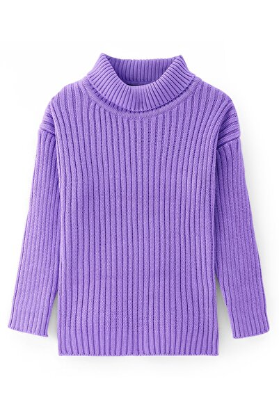 Pine kids Örme Uzun Kollu Balıkçı Yaka Kazak - Mor