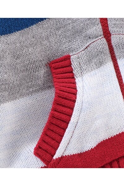 Babyhug Babyhug Acrylic Knit Full Sleeves Stripes Hooded Sweater - Red Blue