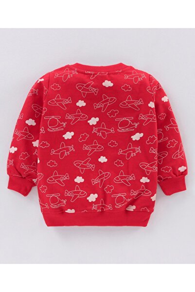 Babyhug Babyhug Full Sleeves Knit Sweatshirts With Text Graphics Pack of 2- Multicolor