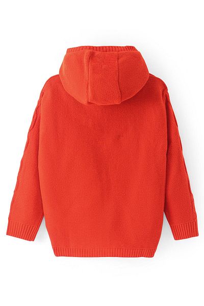 Pine kids Örme Uzun Kollu Kapsonlu Ön Açık Düz Kazak - Kırmızı