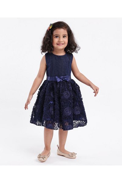 Babyhug Babyhug Mesh Sleeveless Embroidery Frock - Navy