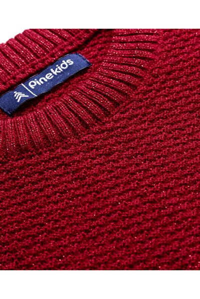 Pine kids Pine Kids Knit Full Sleeves Solid Color Pullovers Sweater- Red
