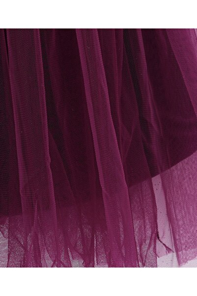 Babyhug Babyhug Sleeveless A Line Mesh Party Frock With Bow Applique - Aubergine