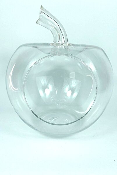 CİYU Cam fanus elma şekilli