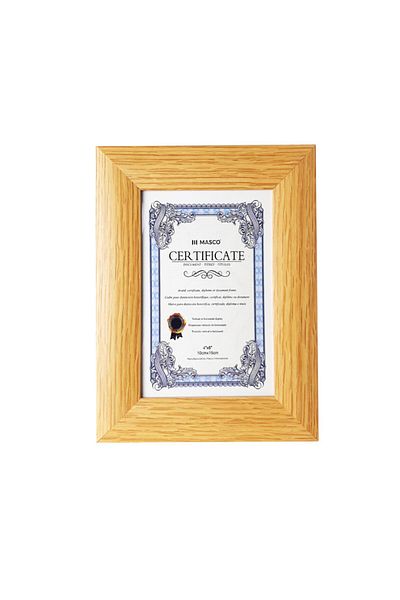 MASCO 10 Cm x 15 Cm Sized Photo and Certificate Holder Frame