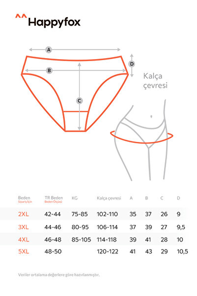 Happy Fox Pamuklu Kadın Slip Külot 5’li Set – Normal Bel Puantiyeli Ve Desenli Pembe-gri