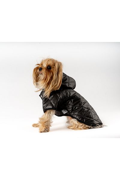 MAXSTYLESPET Black Waterproof Cat Dog Coat