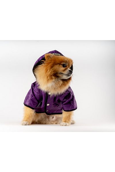 MAXSTYLESPET Purple Cat Dog Waterproof Coat