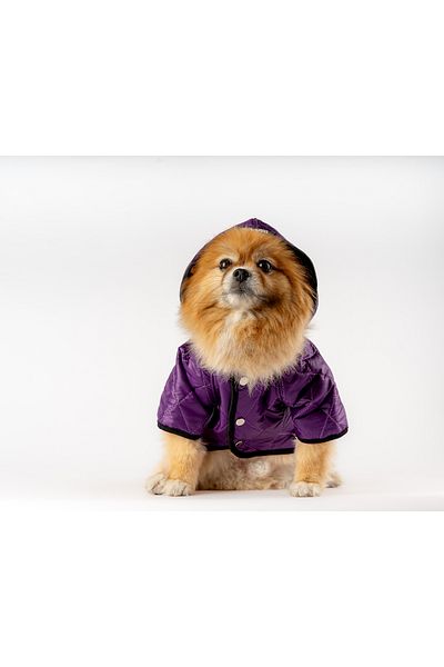 MAXSTYLESPET Purple Cat Dog Waterproof Coat