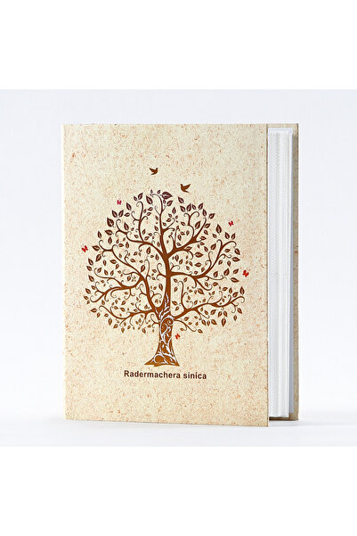 Choice 05 ألبومات صور مقاس 6 بوصات، 200 قطعة، ألبوم صور عائلي قابل للطي بسعة ...