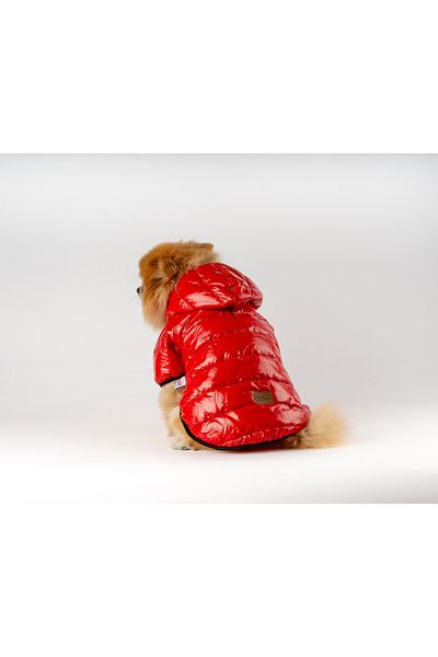 MAXSTYLESPET Red Shiny Cat Dog Coat