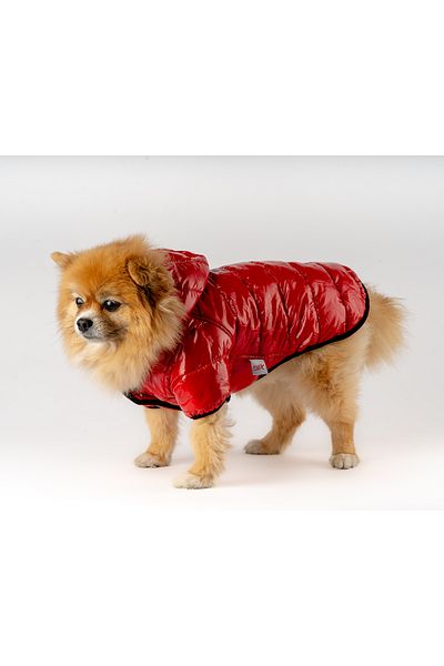 MAXSTYLESPET Red Shiny Cat Dog Coat