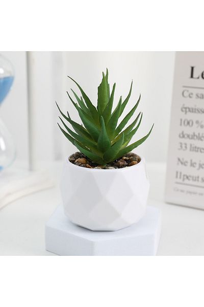 Choice B Artificial Succulent Bonsai Plants Simulation Succulents Mini Evergreen Bonsai Cactus Succulent P.