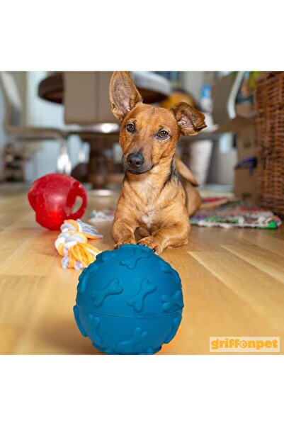 Griffonpet Küçük Köpekler İçin Dayanıklı Sesli Oyuncak – 7 cm (Mavi)