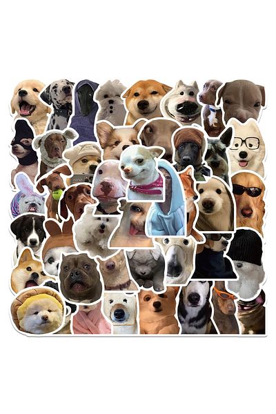 Choice 50pcs 50pcs Kawaii Cat Dog Funny Animal Meme Stickers Cute Decals Decoration Diy Skateboard Scrapboo