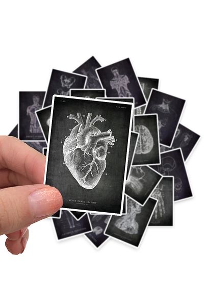Choice Y102(25PCS) 25pcs Anatomical Skeleton Chalkboard Stickers For Laptop Pvc Water Bottle Waterproof Dec