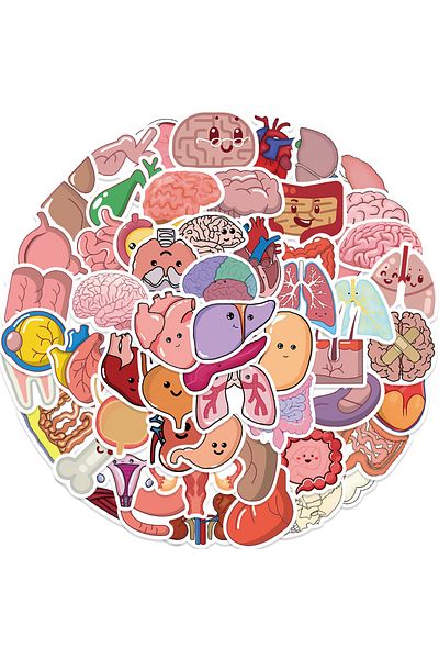 Choice 65pcs-random 65pcs Cartoon Human Body Organ Stickers Waterproof Sticker Anatomy Map Decals For Water
