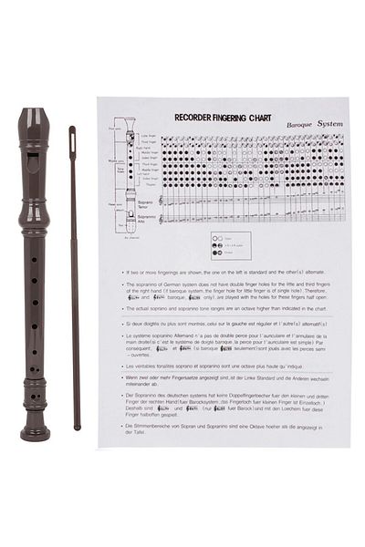 IRIN 8 Hole Clarinet Long Flute J32 ABS Vertical Flute Musical Instrument Music Education with Cleanin...