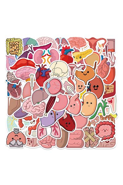 Choice 65pcs-random 65pcs Cartoon Human Body Organ Stickers Waterproof Sticker Anatomy Map Decals For Water