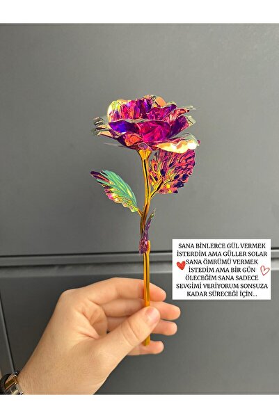 Sepetten Eve Sonsuzluk Gülü Hediyelik Gül - Ev Dekor - Sevgiliye Hediye-Solma...