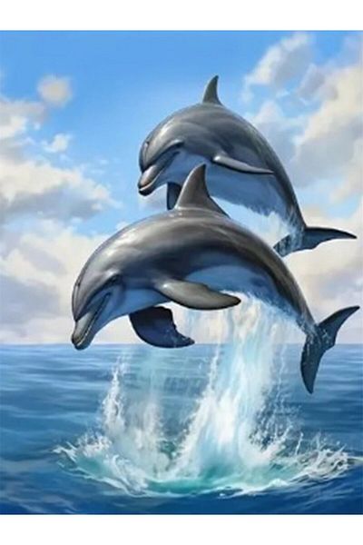 Choice Full Round 30x40cm Xe7-0044 Diamond Painting Animal Dolphin 5d Diamond Mosaic Art Kits Home Decor Su