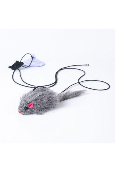 Choice One-size Dark Gray Retractable Cat Feather Toy Hanging Interactive Toys For Indoor Cats Kitten Play