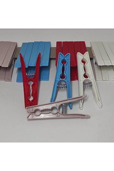 RAMDET 24 قطعة من أوتاد الغسيل الزنبركية الملونة المزخرفة بالزهور - مشبك تجفي...