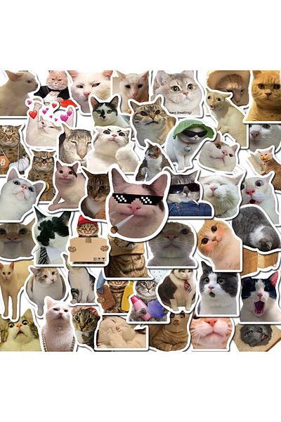 Choice 50pcs 50pcs Cat Meme Funny Animals Stickers Vintage Toy Diy Kids Notebook Luggage Motorcycle Laptop