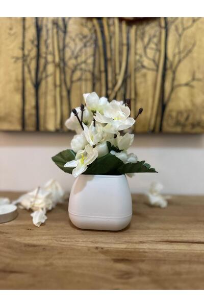 lameko زهرة صناعية جافة متوسطة الحجم لتزيين الطاولة زهرة صناعية