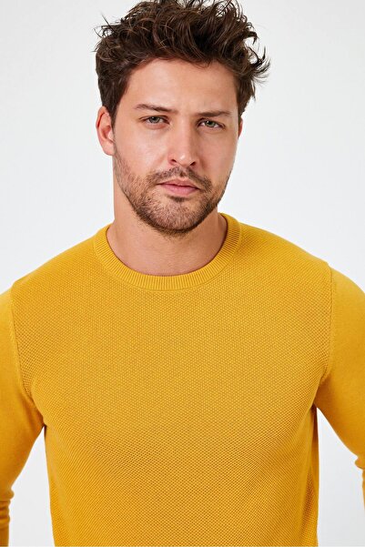 ALEXANDERGARDI В'єтровка з коміром REGULAR FIT (E24-EZE-03)