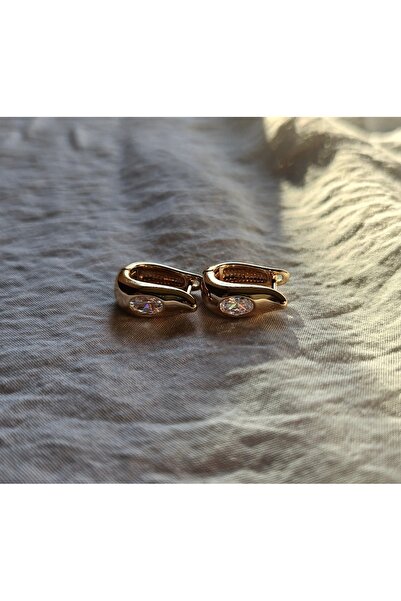shesra Gold Plated Zircon Stone Steel Earrings