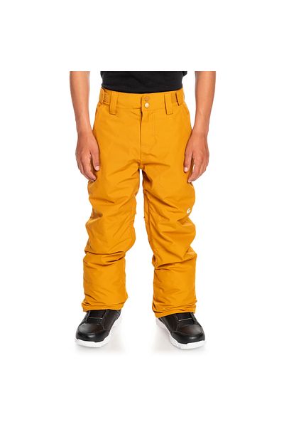 Quiksilver Boy's Snowboard Pants Estate Yth Pt B Snpt Brown
