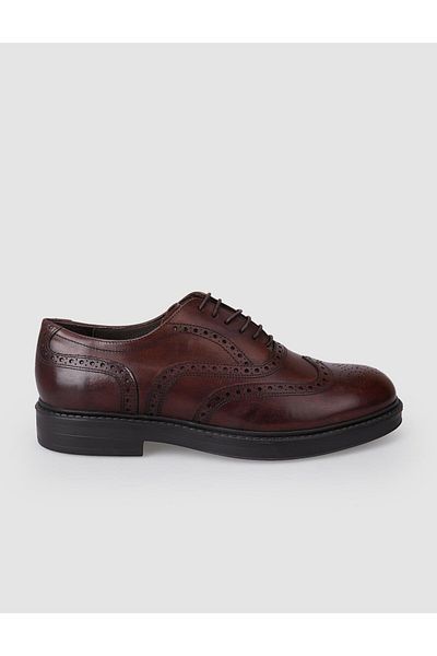 Cabani 100% Genuine Leather Brown Men's Casual Shoes