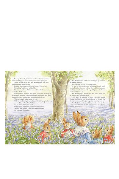 LITTLE TIGER Peter Rabbit - Tales from the Countryside